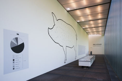 Christien Meindertsma Project Pig 05049